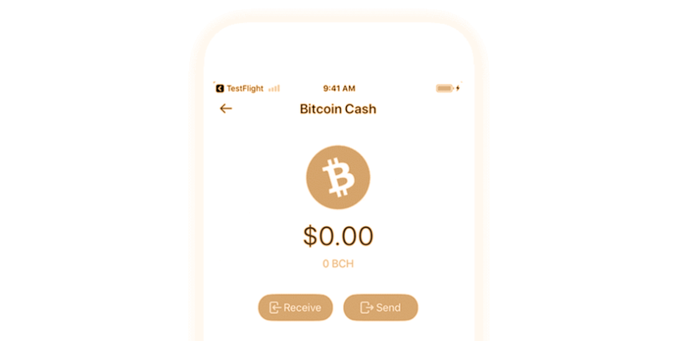 access bitcoin cash from coinbase wallet